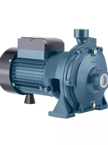 Selbstansaugende Pumpe 2 PS